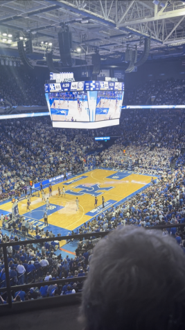 UK fans were hoping for a strong showing in the March Madness tournament instead of a loss in the first round.  