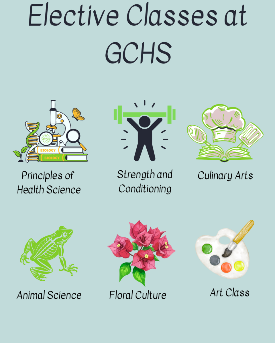 Elective Courses Allow Students To Explore New Interests and Contents